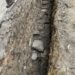 Drum roman, vechi de 2.000 de ani, descoperit în centrul orașului Cluj-Napoca