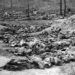 3.000 de români din Bucovina au murit pe 1 aprilie 1941, seceraţi de mitralierele ruşilor