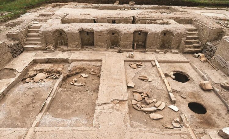 Cramă veche de 2.000 de ani, descoperită de arheologi, în Italia