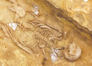 Necropolă antică, veche de 2.000 de ani, descoperită sub o gară aglomerată din Paris