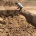 38 de schelete decapitate, descoperite într-o groapă comună, din Slovacia