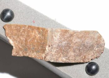Inscripție veche de 1.100 de ani, scrisă pe un pieptar, posibil cel mai vechi text chirilic descoperit vreodată