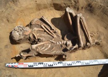 Schelet vechi de 7.000 de ani, perfect conservat, dezgropat în Polonia