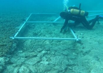 Drum scufundat, vechi de 7000 de ani, descoperit de arheologi, pe coasta Croației