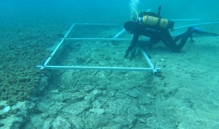 Drum scufundat, vechi de 7000 de ani, descoperit de arheologi, pe coasta Croației