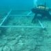 Drum scufundat, vechi de 7000 de ani, descoperit de arheologi, pe coasta Croației