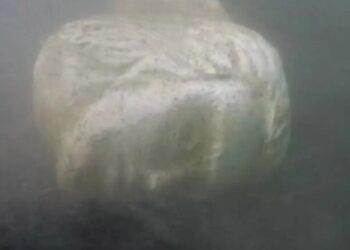Cap de piatră, găsit pe fundul lacului Nemi, posibil provenit de la navele lui Caligula