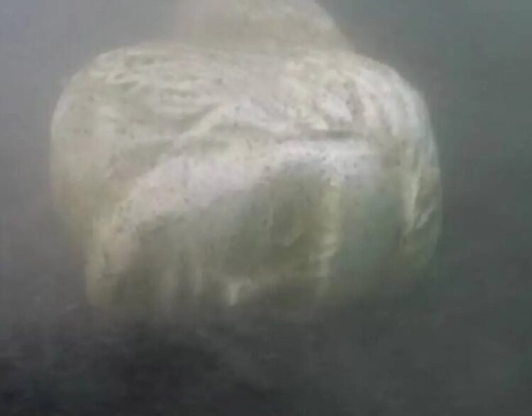 Cap de piatră, găsit pe fundul lacului Nemi, posibil provenit de la navele lui Caligula