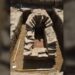 14 morminte și un apeduct din vremea Imperiului Roman, descoperite la Belgrad, în Serbia