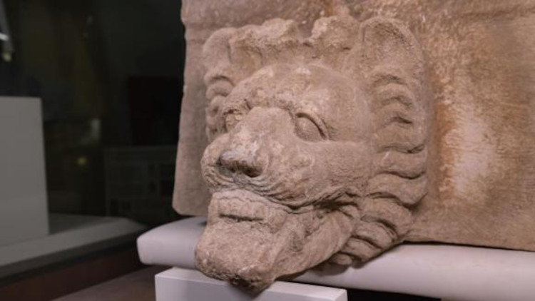 Cap de leu, făcut din piatră, descoperit la Selinunte, în Sicilia