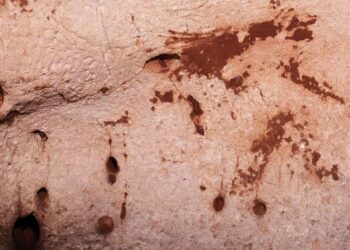 Artă paleolitică uimitoare, descoperită în estul Iberiei, la Cueva Dones