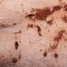 Artă paleolitică uimitoare, descoperită în estul Iberiei, la Cueva Dones