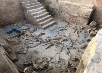 Rămășițele unor animale sacrificate într-un ritual, descoperite în Spania