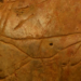Artă rupestră, veche de 11.000 de ani, descoperită în Grecia, în Peștera Asphendou