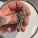 Gaică metalică de curea, descoperită în Polonia
