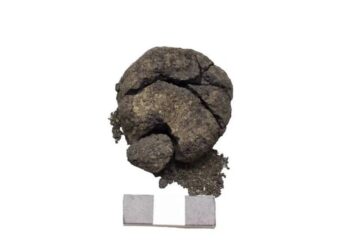 Pâine veche de 8.600 de ani, descoperită la Çatalhöyük, în Turcia
