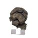 Pâine veche de 8.600 de ani, descoperită la Çatalhöyük, în Turcia
