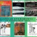 Serie de evenimente dedicate genialului Constantin Brâncuși, organizate de UAP în perioada 17 – 23 februarie