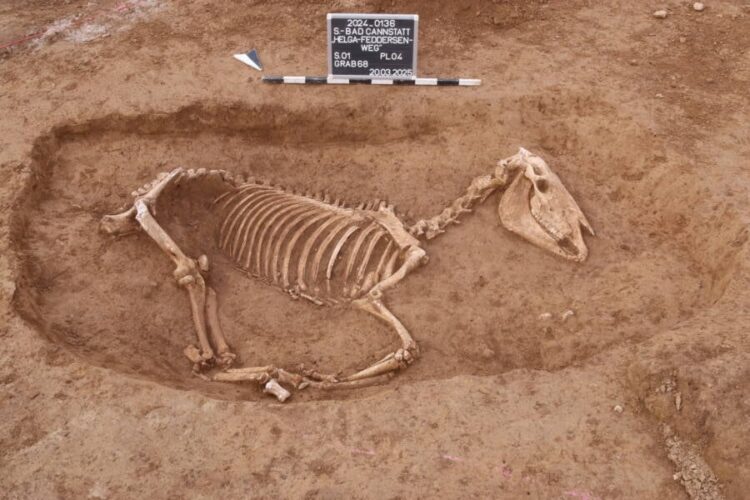 Cimitir roman de cai, descoperit în sudul Germaniei