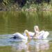 ZILELE CONSTANȚEI, la Complexul Muzeal de Științe ale Naturii Constanța