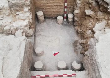 Muzeul de Istorie Națională și Arheologie Constanța anunță prelungirea înscrierilor la Sesiunea Națională de Rapoarte