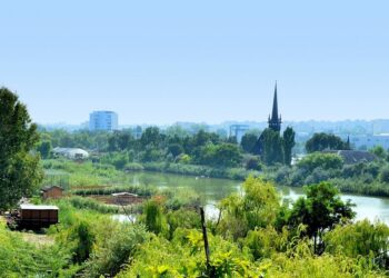 Microrezervația din Constanța, un colț de natură dobrogeană