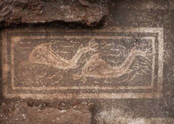 Mozaic roman cu delfini, descoperit într-o vilă antică de lux din Austria