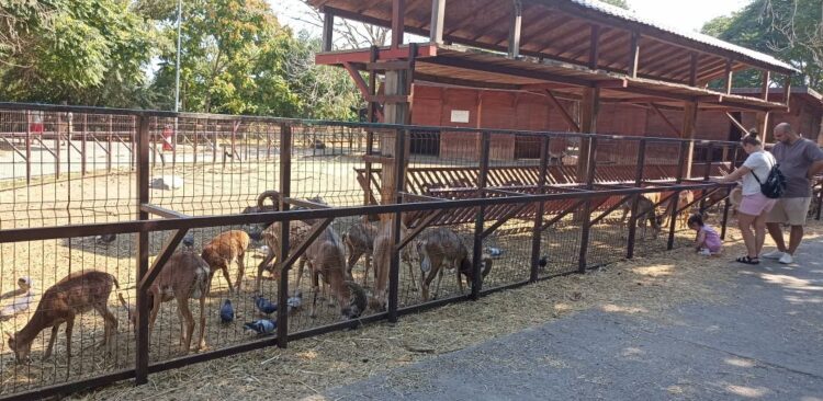 Iubești animalele? Vino ca VOLUNTAR la Microrezervația din Constanța!