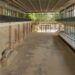 Se redeschide Edificiul roman cu mozaic, bijuterie arhitecturală pe țărmul Pontului Euxin