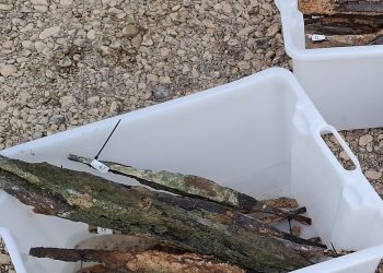 Cea mai mare descoperire de lingouri bipiramidale preistorice, din Europa, făcută în râul Sava, din Bosnia