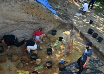 Atelier neanderthalian de unelte, datat acum 70.000 de ani, descoperit în Polonia