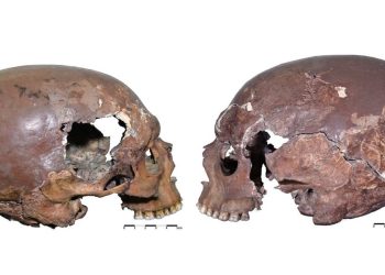 Cel mai vechi exemplu de craniu modificat artificial, din Europa, descoperit într-o peșteră din Italia