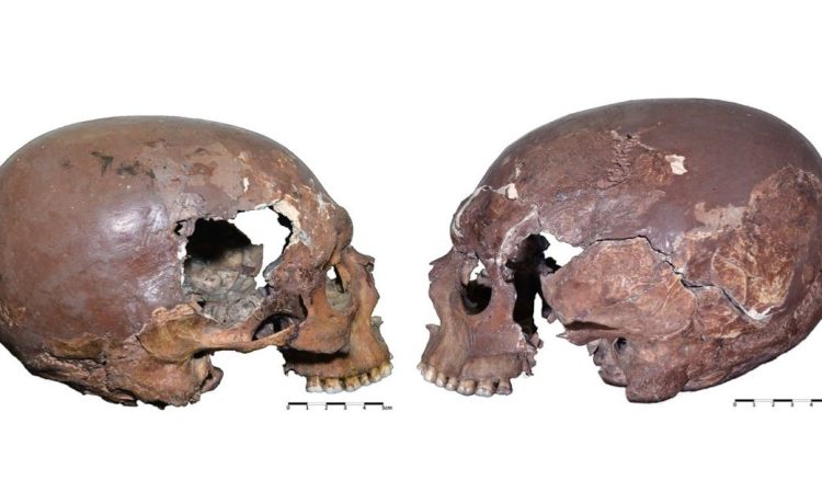 Cel mai vechi exemplu de craniu modificat artificial, din Europa, descoperit într-o peșteră din Italia