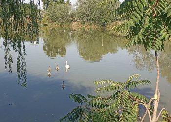 Microrezervația din Constanța – refugiu pentru animale, lecție pentru mici și mari