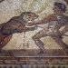 Prima dovadă fizică a luptei dintre un gladiator și un urs brun, descoperită în Serbia