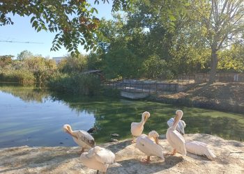 Descoperă magia toamnei, la Microrezervația din Constanța