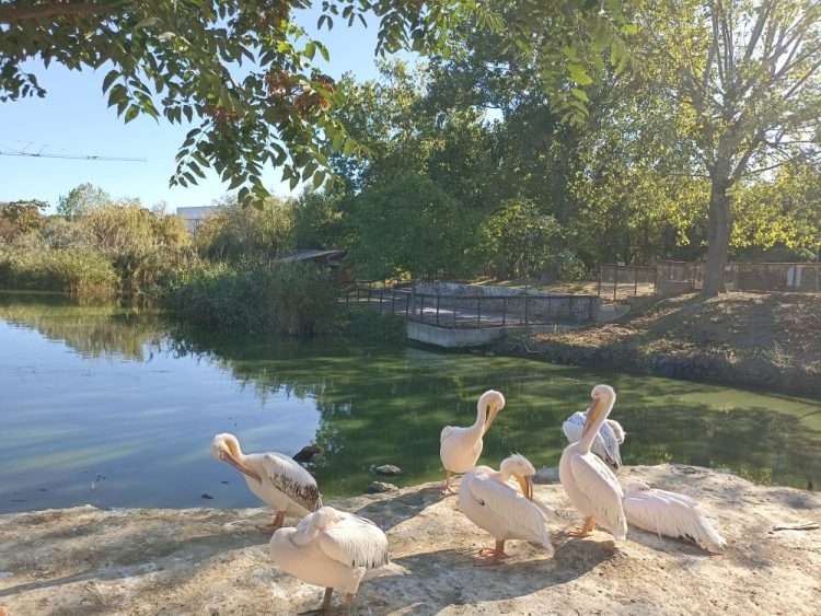 Descoperă magia toamnei, la Microrezervația din Constanța