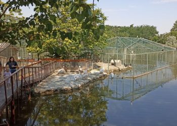 Complexul Muzeal de Științe ale Naturii Constanța organizează concurs pentru ocuparea unor posturi de execuție vacante