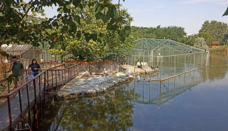 Complexul Muzeal de Științe ale Naturii Constanța organizează concurs pentru ocuparea unor posturi de execuție vacante