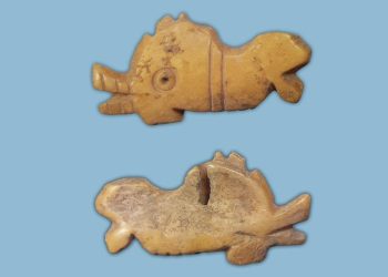 Delfin sculptat în os, cu 1800 ani în urmă, descoperit lângă Sala Sporturilor din Constanța