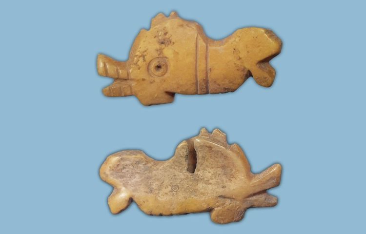 Delfin sculptat în os, cu 1800 ani în urmă, descoperit lângă Sala Sporturilor din Constanța