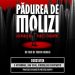 Proiecție de gală a filmului „Pădurea de molizi”, în prezența regizorului Tudor Giurgiu