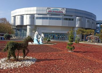 INTRARE LIBERĂ la Delfinariu, Microrezervație și Planetariu, de Ziua Dobrogei