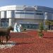 INTRARE LIBERĂ la Delfinariu, Microrezervație și Planetariu, de Ziua Dobrogei
