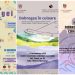 Dobrogea sărbătorită la Centrul Jean Constantin: trei zile de muzică, dans și tradiții