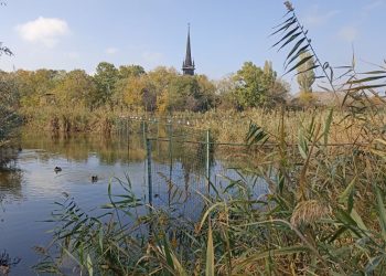 Ziua Dobrogei, prilej pentru a explora GRATUIT Complexul Muzeal de Științe ale Naturii
