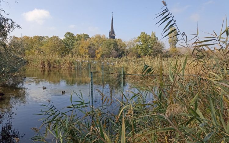 Ziua Dobrogei, prilej pentru a explora GRATUIT Complexul Muzeal de Științe ale Naturii