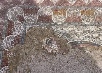 Mozaic din secolul al IV-lea d. Hr., descoperit în orașul antic Hadrianopolis, în Turcia