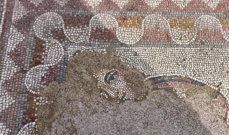 Mozaic din secolul al IV-lea d. Hr., descoperit în orașul antic Hadrianopolis, în Turcia