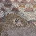 Mozaic din secolul al IV-lea d. Hr., descoperit în orașul antic Hadrianopolis, în Turcia